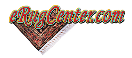 erugcenter.com logo